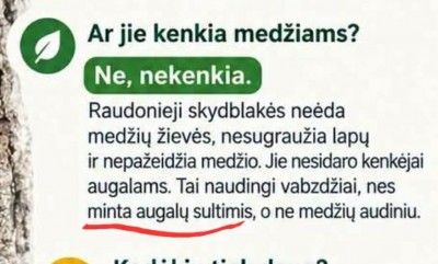 neva_nekenkia_pagal_AI.jpeg